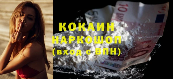 гидра Горно-Алтайск