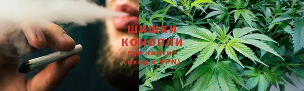 стафф Горняк