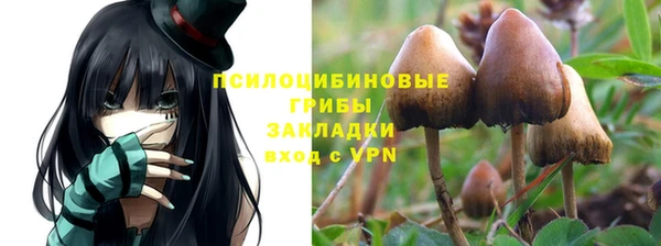 гидропоника Горнозаводск