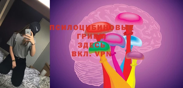 стафф Горняк