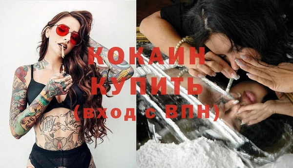 гидра Горно-Алтайск