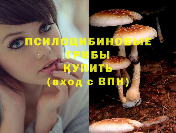 гидра Горно-Алтайск