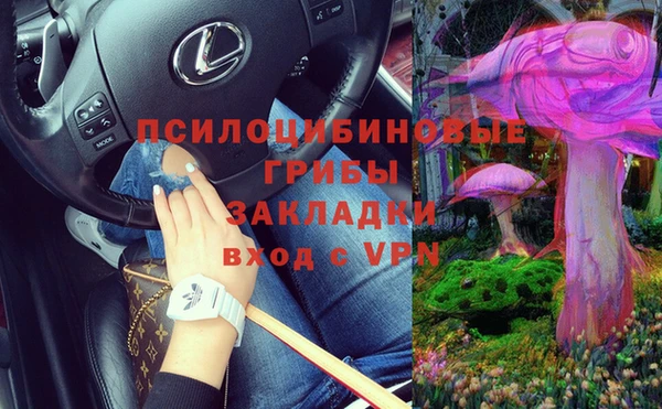 стафф Горняк