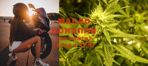 гидра Горно-Алтайск