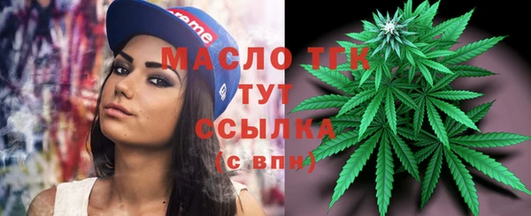 гидра Горно-Алтайск