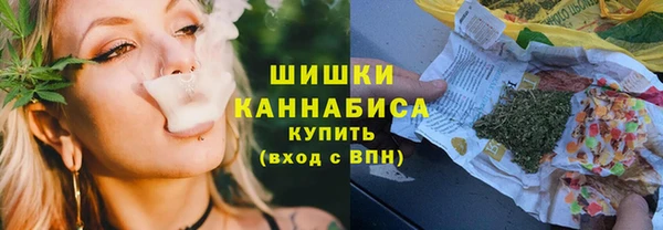 гидропоника Горнозаводск