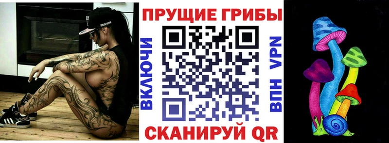 Галлюциногенные грибы Psilocybine cubensis  Купить закладки  Салаир 