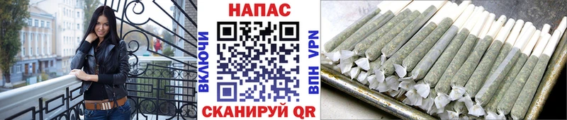 Канабис семена  Купить  Салаир 